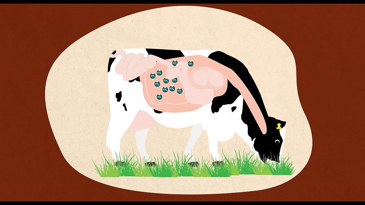 Vach'ment engagés ! - Episode 1